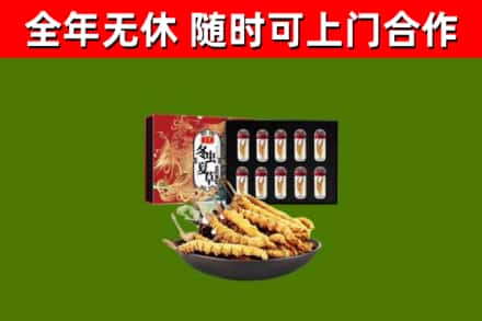 芜湖市回收冬虫夏草价格